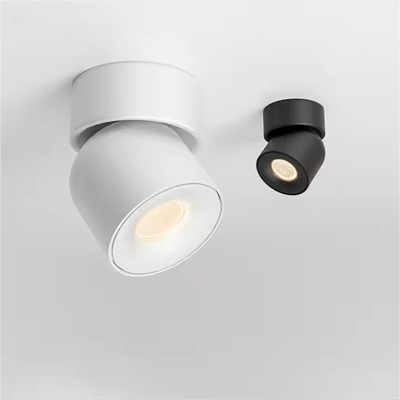 6. ceiling light adjustable.png