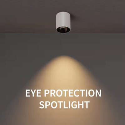 9. LED surface mounted light.png
