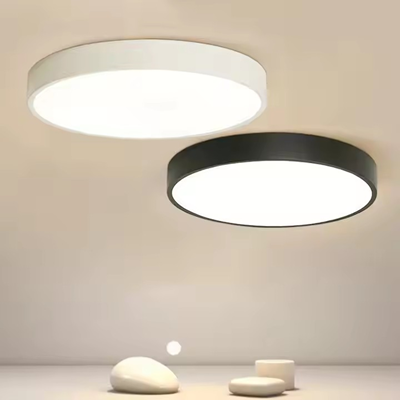10. LED round panel ceiling light.png
