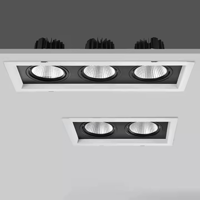 13. LED grid light 2 heads.png