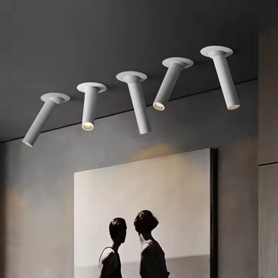 6. recessed spot light BLED.jpg