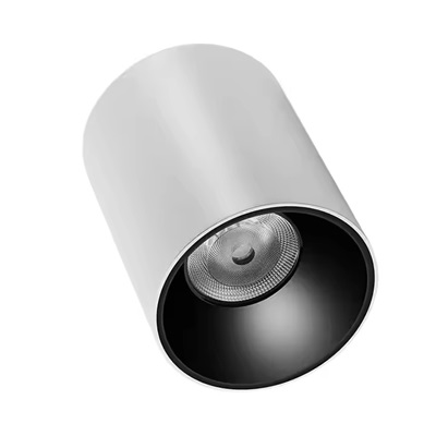1. surface mounted downlight.jpg