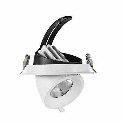 8. adjustable led downlight.jpg