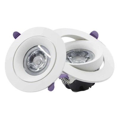 10. adjustable spot downlight.jpg