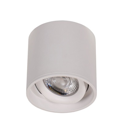 15. adjustable surface mounted downlight.jpg