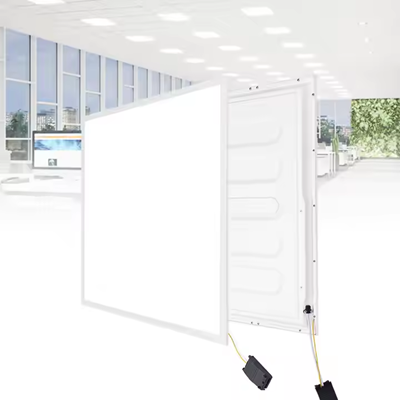 18. back-lit panel light.jpg