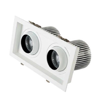 36. double head grid light.jpg