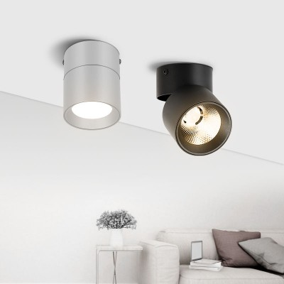 2026 LED ceiling mounted spot light (1)(1).png