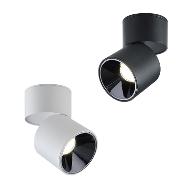 2026 LED ceiling mounted spot light (2).png