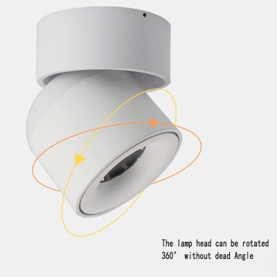 2026 LED ceiling mounted spot light (9).png