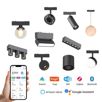 2026 mangnetic track light system (811).png