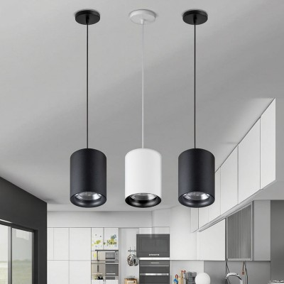 2026 pendant light (2)(1).png