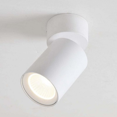 2026 LED ceiling mounted spot light (10).png