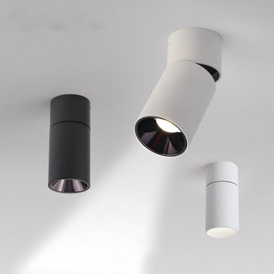 2026 LED ceiling mounted spot light (2).jpg
