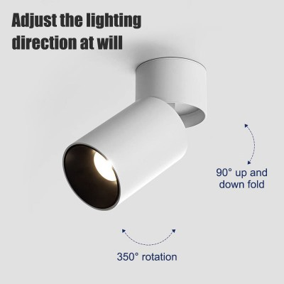 2026 LED ceiling mounted spot light (3).png